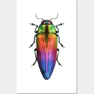 Jewel Beetle Digital Painting Posters and Art